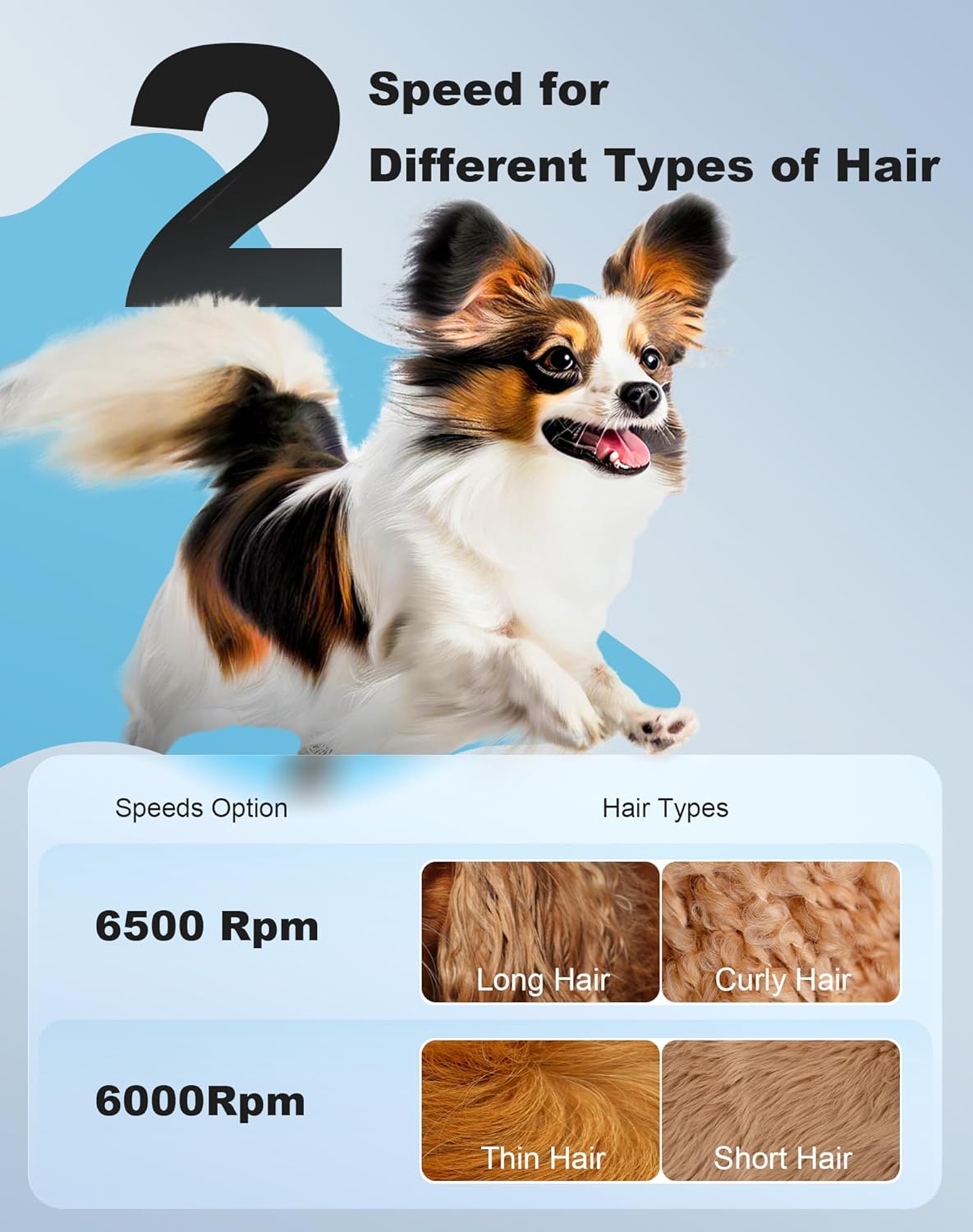 3 in 1 Small Dog Grooming Kit, 2 Speed Rechargeable Dog Hair Clippers with Guards, Low Noise Electric Dog Paw Trimmer & Nail Grinder