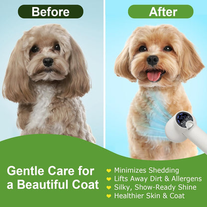 3-in-1 Dog Hair Dryer Brush - Adjustable Temp (35°C-60°C) & 4 Speeds, One-Touch Hair Collection for Safe Grooming